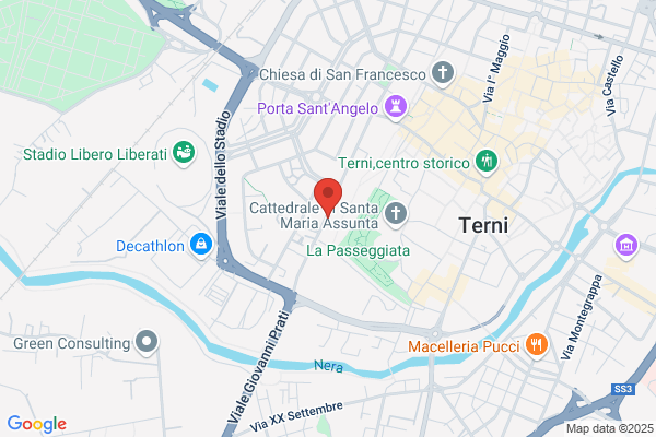 Scimmi carlo