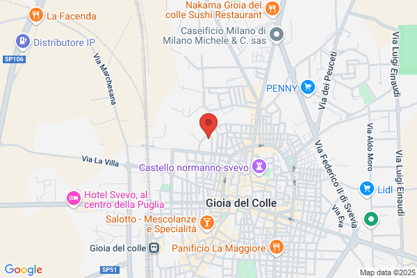 Il Pizzicagnolo Srl
