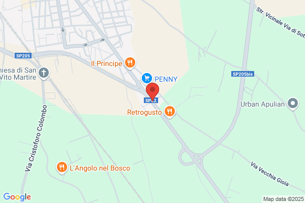 Ragno donato