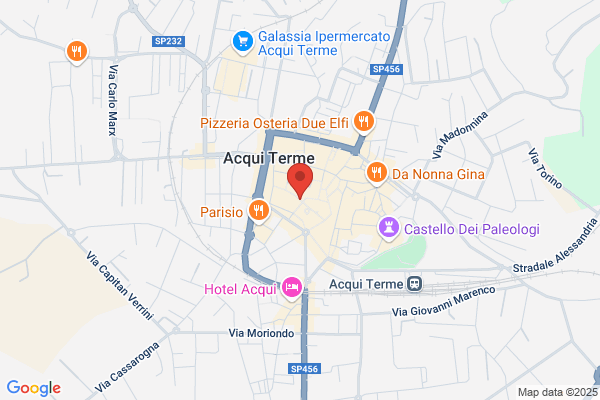 La Torinese Di Gaino Ezio & C. (S.N.C.)
