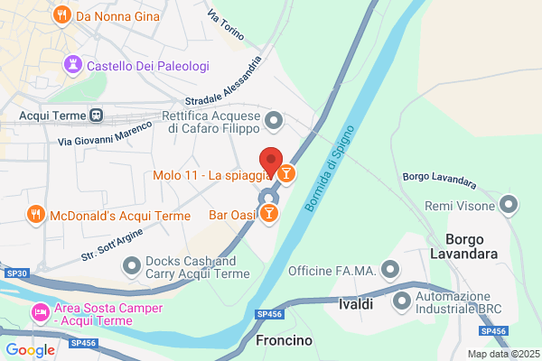 Il Germoglio Di Volpe & C. S.N.C.