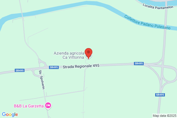 Tivelli vittorina