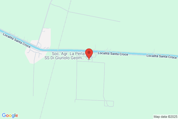 Giuriolo Pierluigi E C. S.S.
