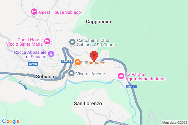 Lollobrigida nazzareno (Dr.)