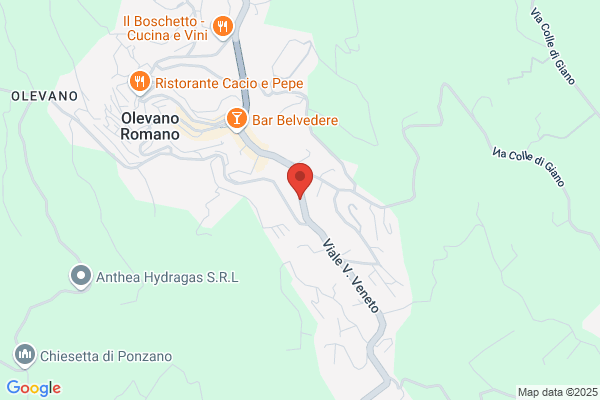 Ristorante Pizzeria L'Oasi