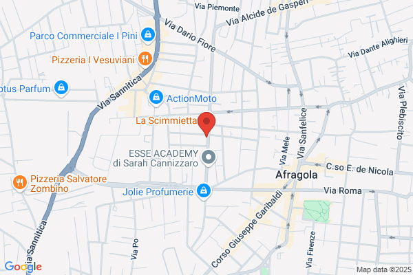Adelante Viaggi Di Aprovitolo G. gerardo