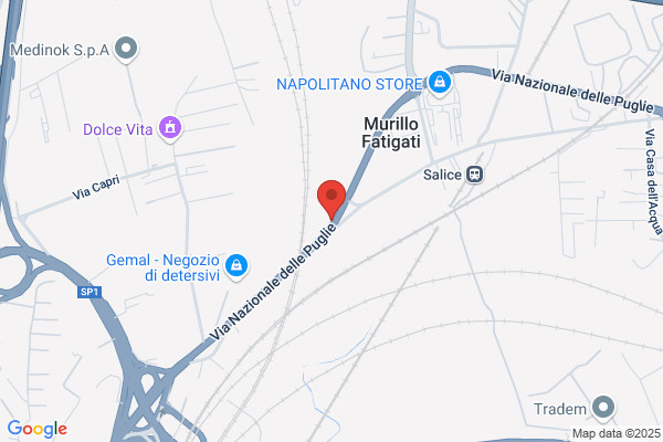 Pipino City Transfer