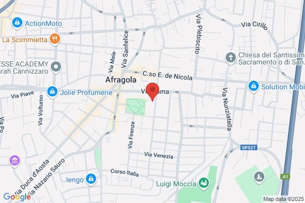 Mosca antonio