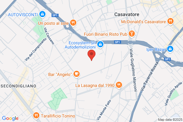 Meccanica Sud (S.R.L.)