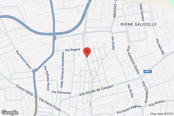Elettronica Service Srl