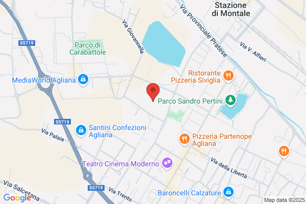 Guarducci Romano