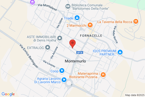 Muzzi antonella (Rag.)