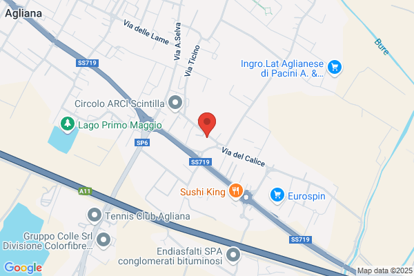Manifattura Tessile Baldini S.R.L.