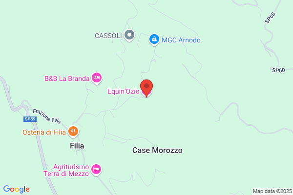 Fasso Enzo
