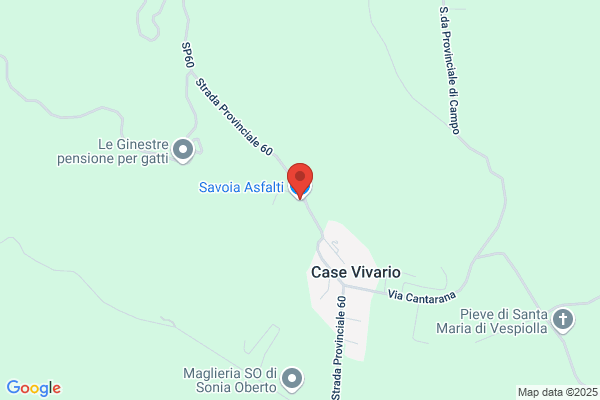 Savoia Asfalti