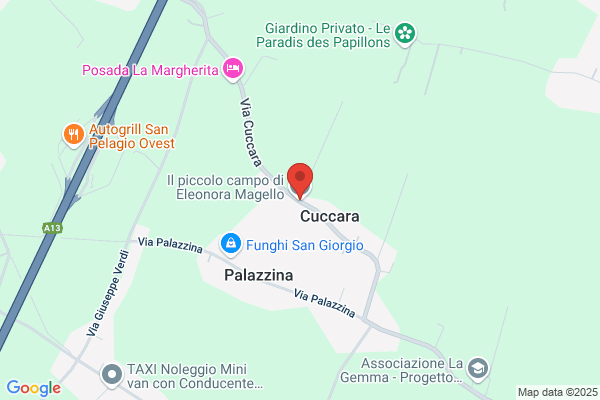 Pizzolato guerrino