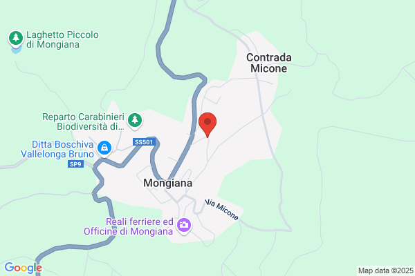Mongiana antonio