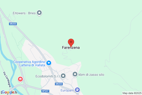Farenzena Romeo