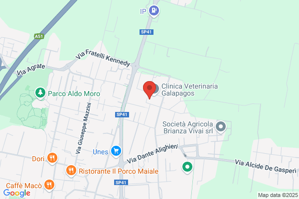 Corner Viaggi (S.R.L.)