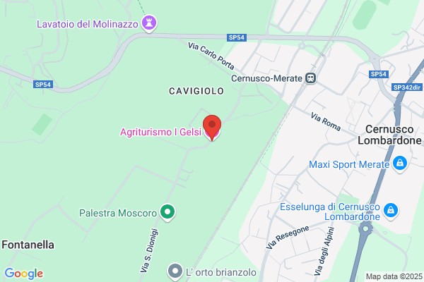 Hotel Ristorante Locanda del Vecchio Gelso