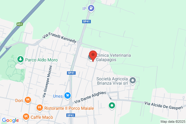 Ristorante Piko