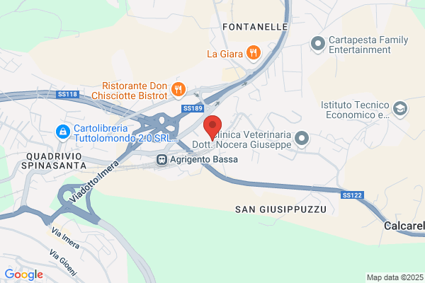 Viaggi Del Mandorlo