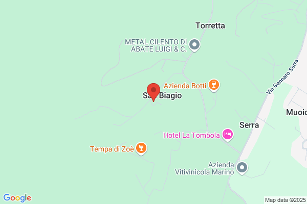 Apicoltura-L'oro del cilento