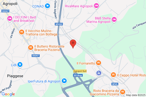 La Palestra Di Vicino Lorenzo