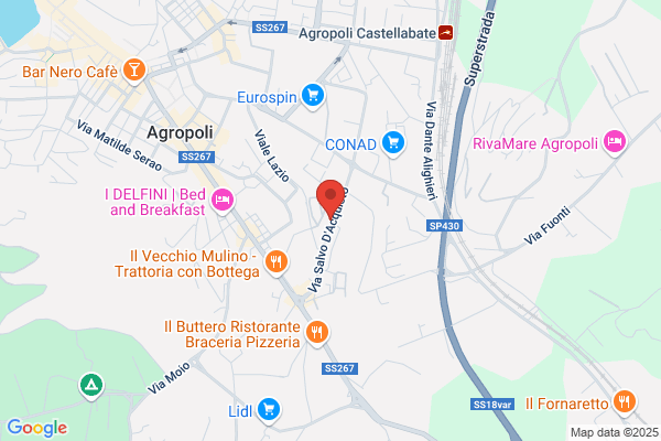 Le Margherite - Piante e Fiori