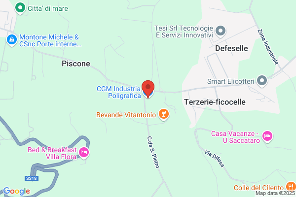 C.G.M. Centro Grafico Meridionale Srl