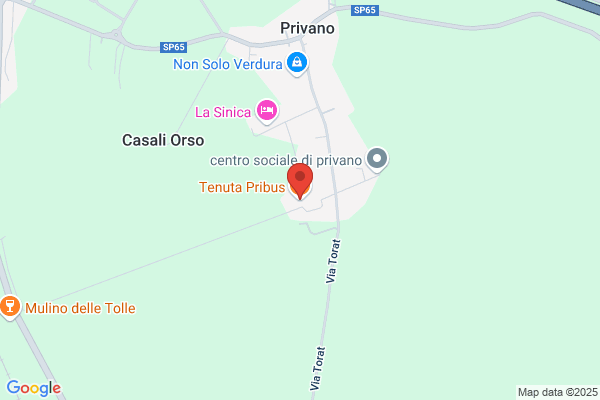 Tenuta Pribus