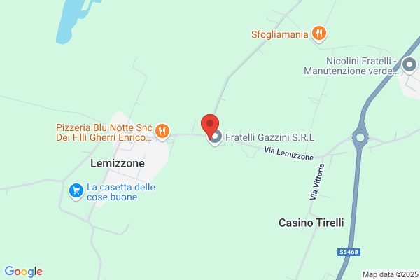 F. Lli Gazzini Snc Di Gazzini Valter willer & c.