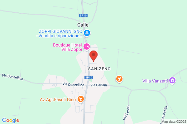 Vicentini enzo
