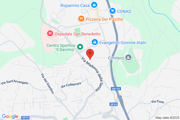 Il Leone Incoronato Di Vellucci Enrico