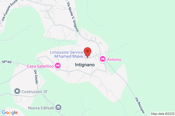 Limousine Service -M'hamed Malek