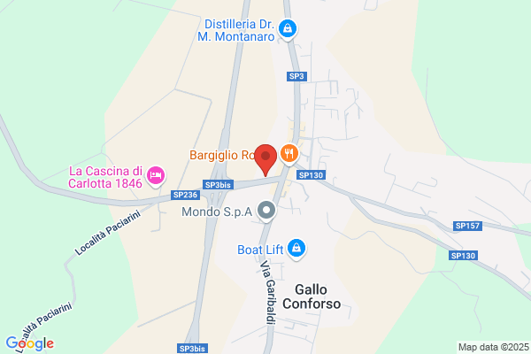 Boasso Revisioni