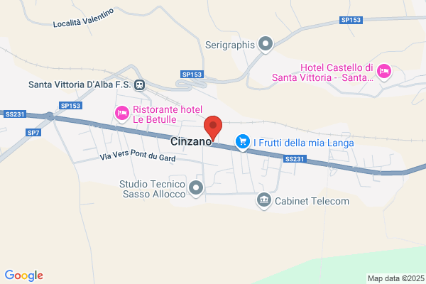 Gino Rag.Felice E Figlio Spa