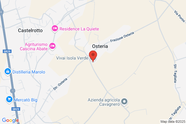Vivai Isola Verde