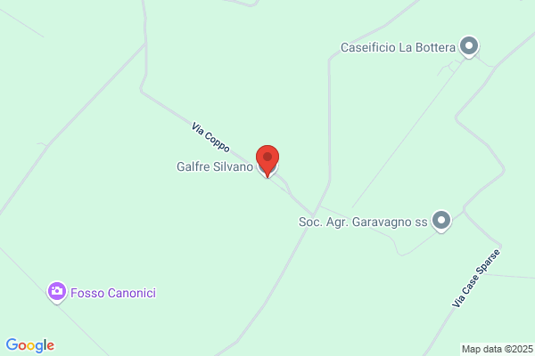 Galfre Silvio