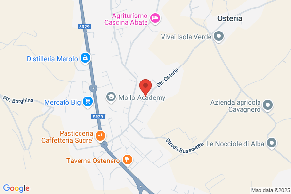 Elettrica