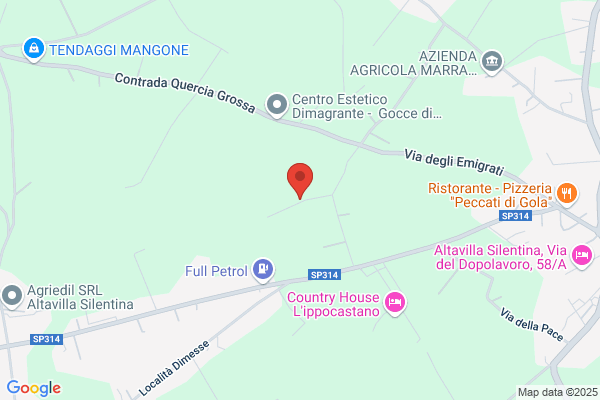 TECNO SERVICE DI CARROZZA ANGELO