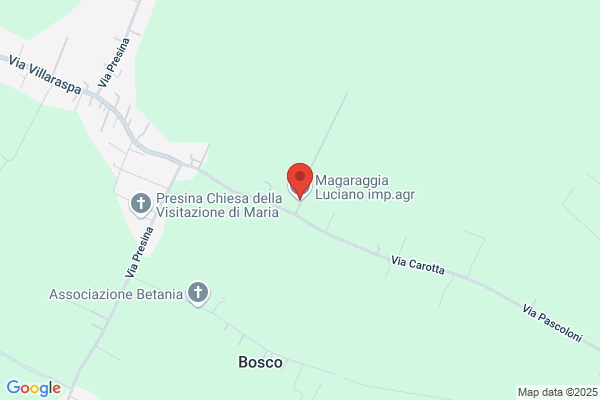 Magaraggia alessandro