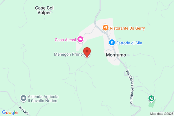 Menegolo domenico