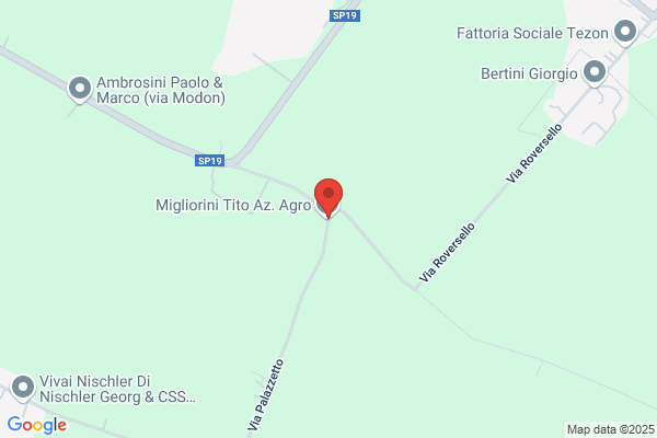 Migliorini antonio