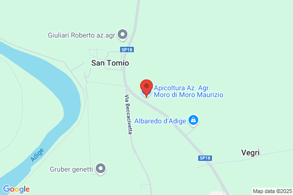 Mistrorigo  Pio
