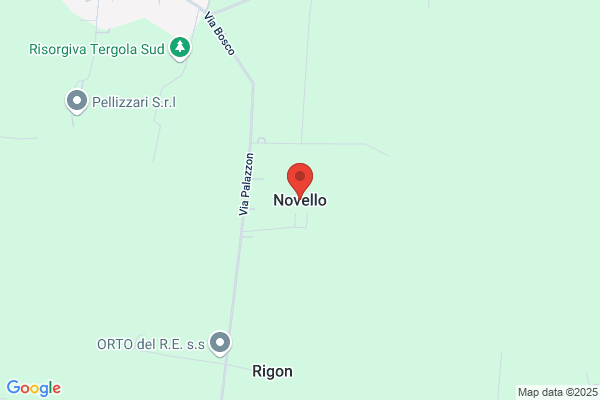 Novello flavio