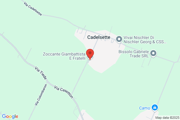 Zoccante Giambattista E Fratelli Sdf