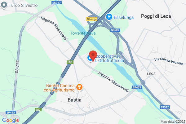 Impresa Verde Savona S.R.L.