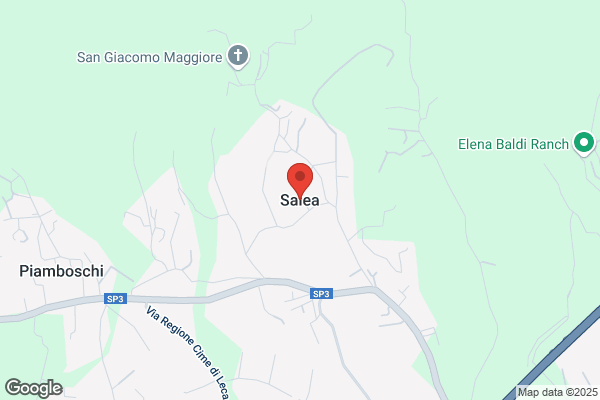 Selvaggio calogero