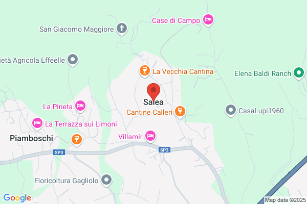 Domain For Sale